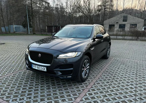 jaguar dolnośląskie Jaguar F-Pace cena 125500 przebieg: 81000, rok produkcji 2017 z Jawor